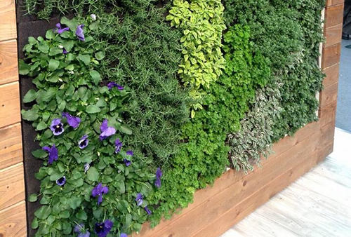Duvar Bahçe Bitkilendirme Sistemleri istanbul